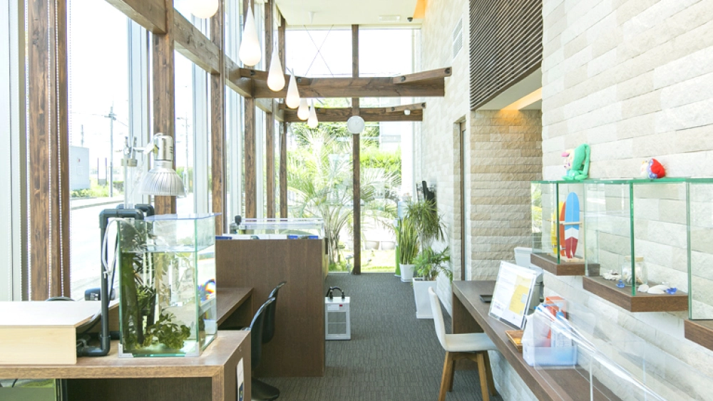 Kデンタルクリニック インプラントの画像