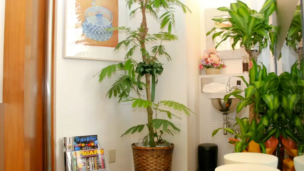 橋本歯科クリニック青山 紹介の画像