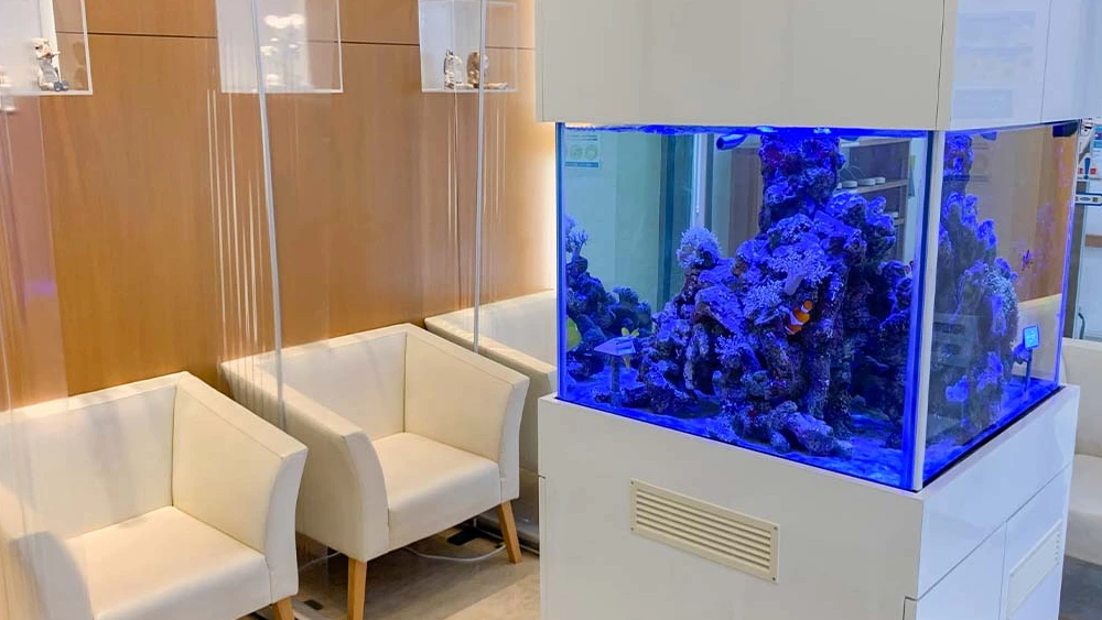 いけおか歯科医院 紹介の画像