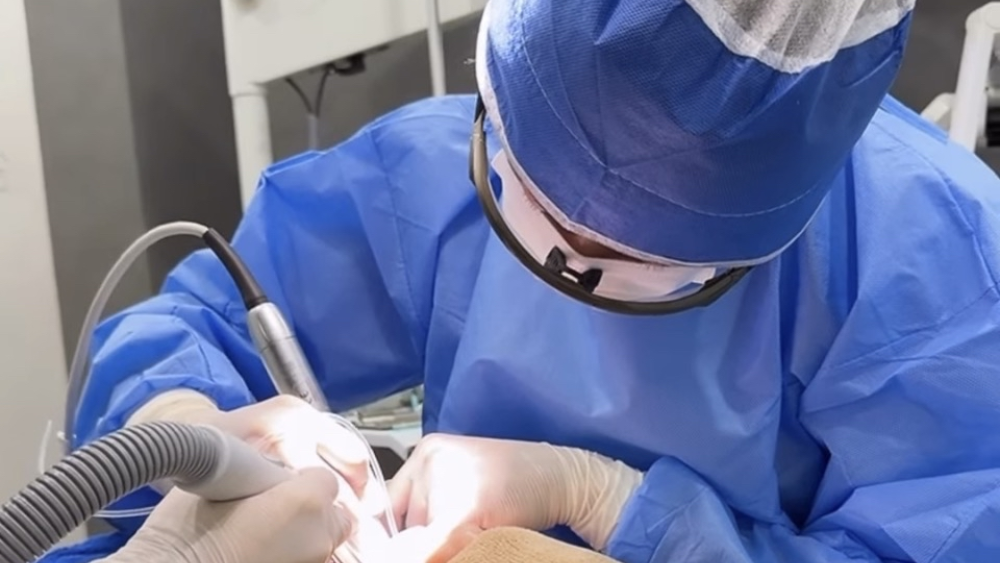 RIVER CLINIC DENTAL 紹介の画像