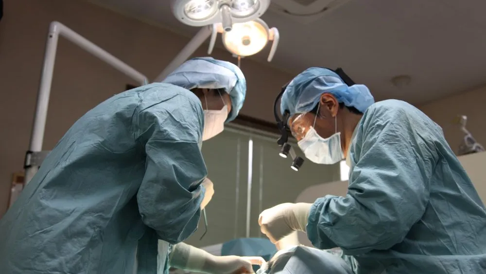 医療法人社団やまもと歯科医院 紹介の画像