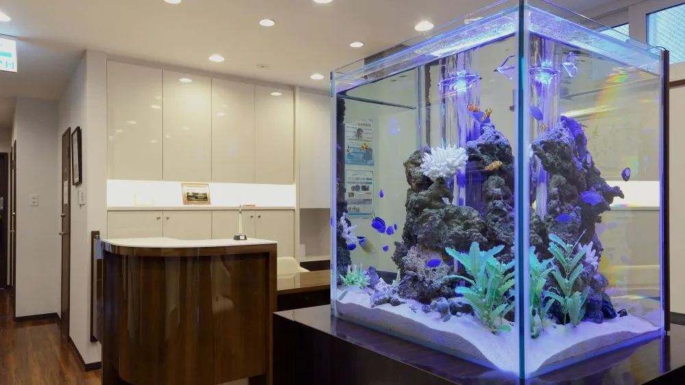 医療法人社団真俊会 アップル歯科 矯正歯科 総合クリニック江別 紹介の画像