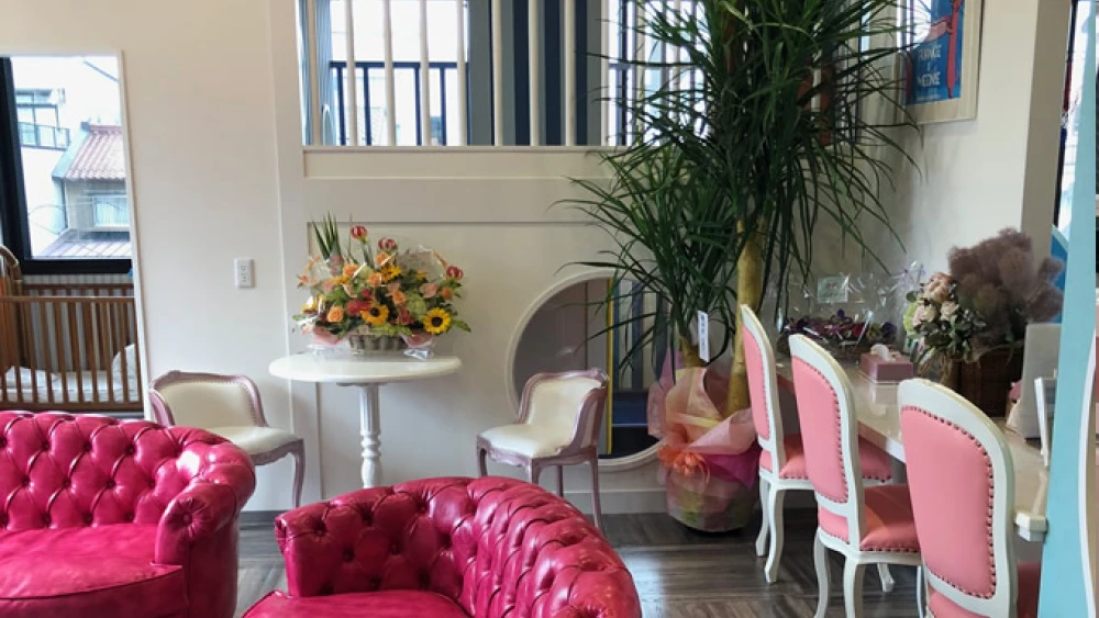 田中矯正歯科こども歯科 紹介の画像