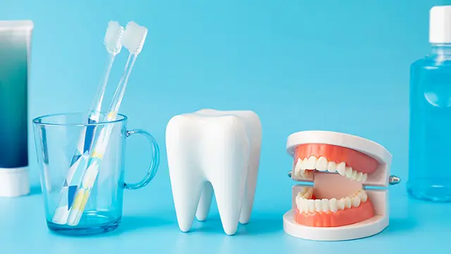 高齢になっても快適に使うためのメンテナンスの重要性の画像