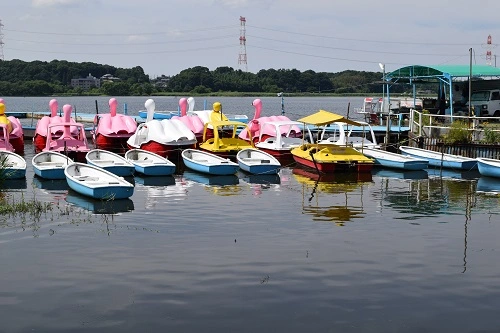 千葉県我孫子市でインプラント治療ができるおすすめ歯医者の画像