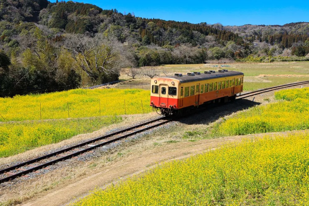 千葉県市原市でインプラント治療ができるおすすめ歯医者の画像