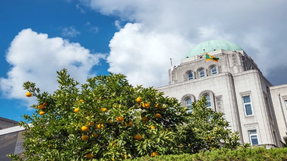 愛媛県でインプラント治療ができるおすすめ歯医者の画像