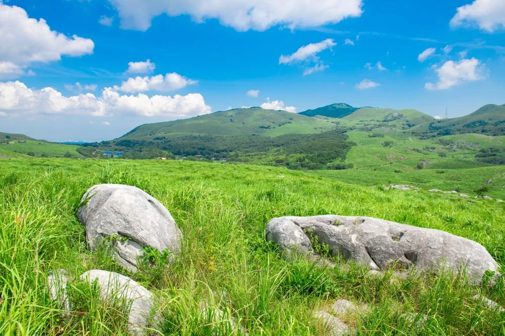 北九州市小倉南区でインプラント治療ができるおすすめ歯医者の画像