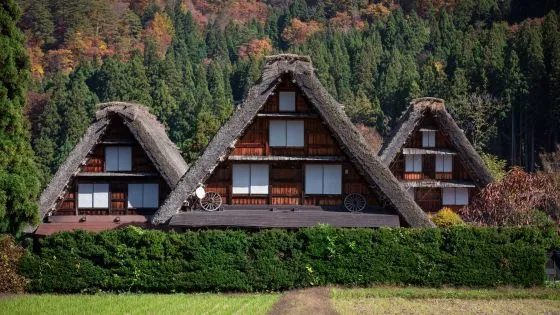 岐阜県でインプラント治療ができるおすすめ歯医者の画像