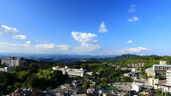 神戸市北区でインプラント治療ができるおすすめ歯医者の画像