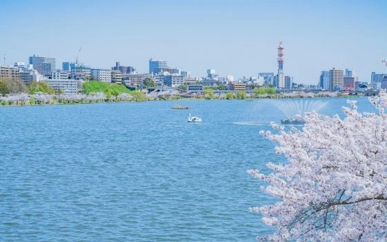 茨城県水戸市の記事一覧の画像
