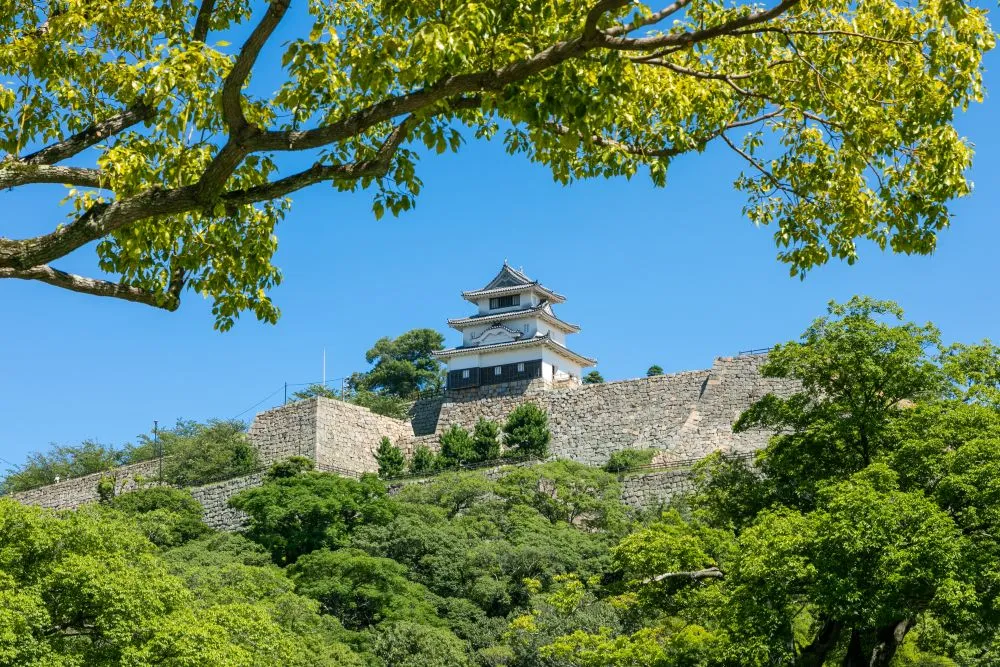 香川県でインプラント治療ができるおすすめ歯医者の画像