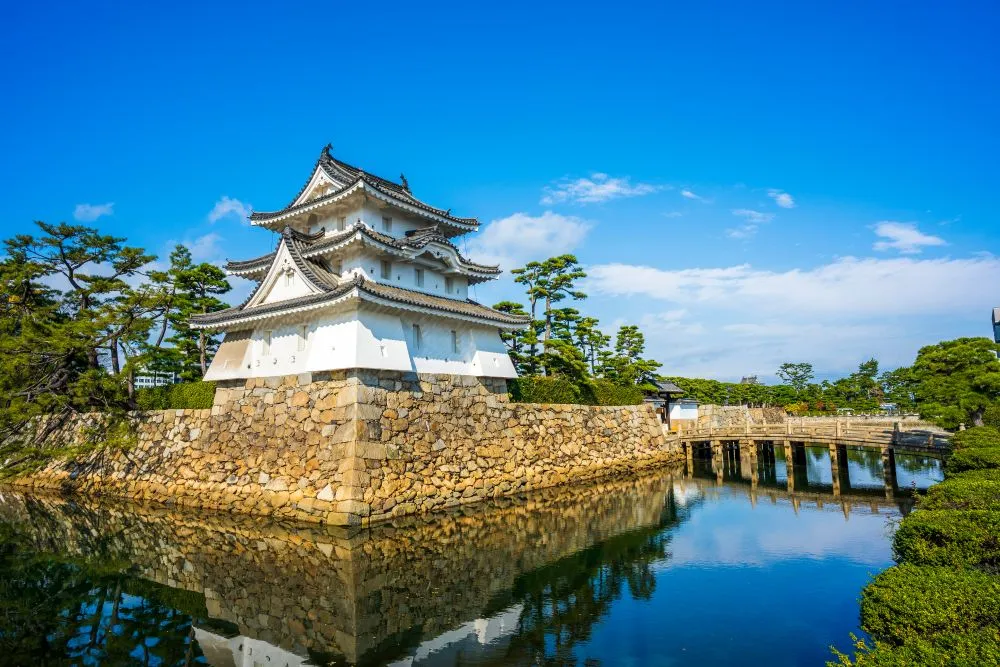香川県高松市でインプラント治療ができるおすすめ歯医者の画像