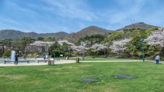 横浜市青葉区でインプラント治療ができるおすすめ歯医者の画像