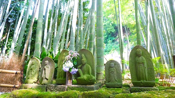 神奈川県鎌倉市でインプラント治療ができるおすすめ歯医者の画像