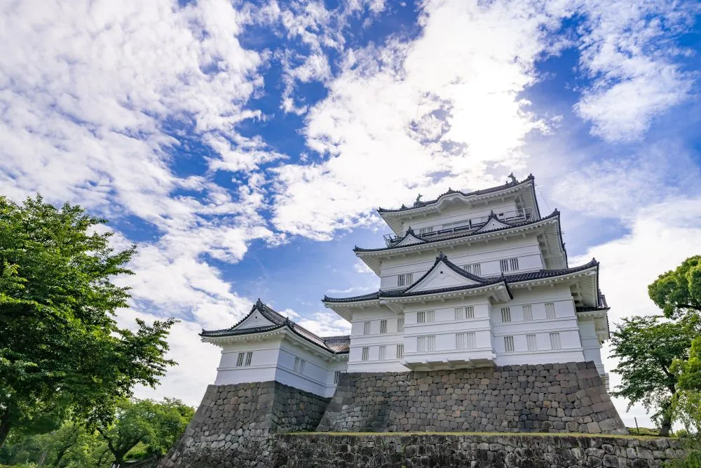 神奈川県小田原市でインプラント治療ができるおすすめ歯医者の画像