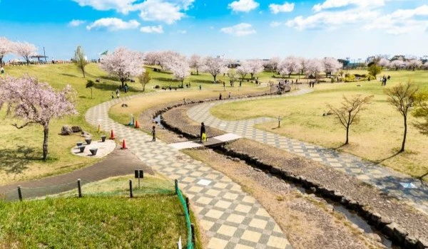 神奈川県大和市の記事一覧の画像