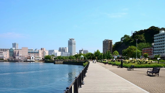 神奈川県横須賀市でインプラント治療ができるおすすめ歯医者の画像