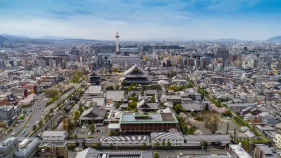 京都府京都市でインプラント治療ができるおすすめ歯医者の画像