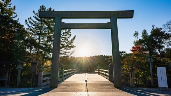 三重県でインプラント治療ができるおすすめ歯医者の画像