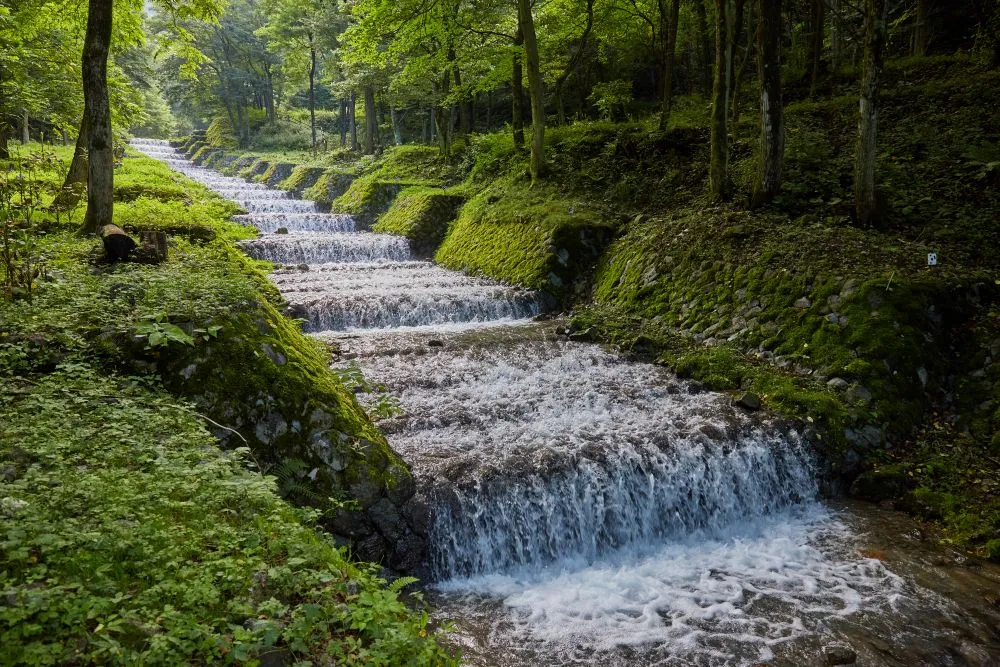 長野県松本市でインプラント治療ができるおすすめ歯医者の画像