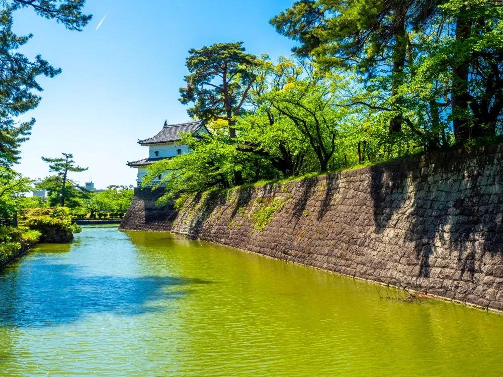 新潟県新発田市でインプラント治療ができるおすすめ歯医者の画像