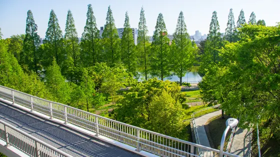 大阪市旭区でインプラント治療ができるおすすめ歯医者の画像
