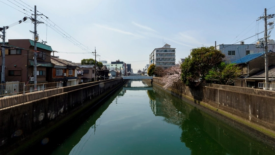 大阪市東成区でインプラント治療ができるおすすめ歯医者の画像
