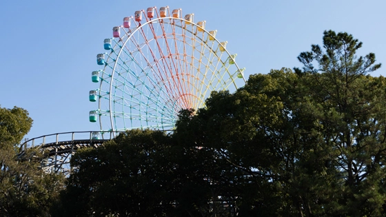 大阪府枚方市でインプラント治療ができるおすすめ歯医者の画像