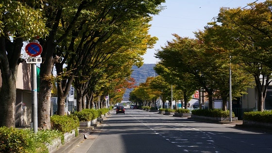 大阪府門真市でインプラント治療ができるおすすめ歯医者の画像