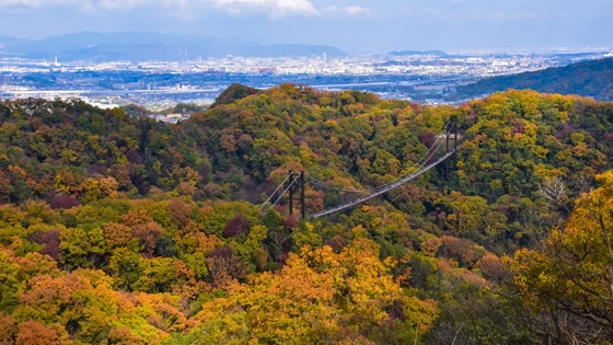 大阪府交野市でインプラント治療ができるおすすめ歯医者の画像