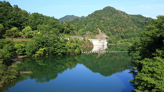 大阪府河内長野市でインプラント治療ができるおすすめ歯医者の画像