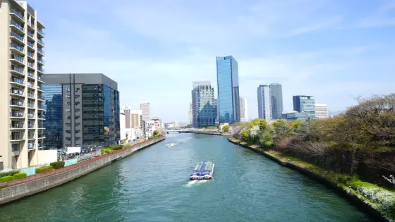 大阪府寝屋川市でインプラント治療ができるおすすめ歯医者の画像