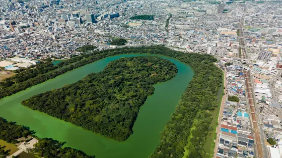 大阪府堺市でインプラント治療ができるおすすめ歯医者の画像