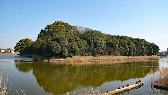堺市北区でインプラント治療ができるおすすめ歯医者の画像