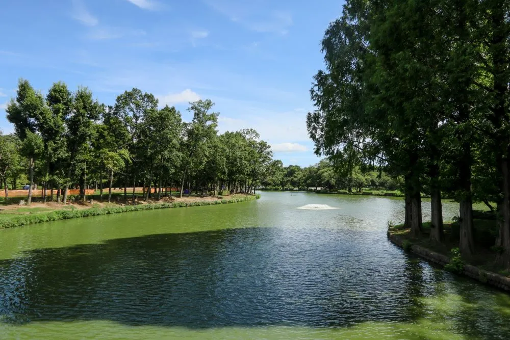 埼玉県上尾市でインプラント治療ができるおすすめ歯医者の画像