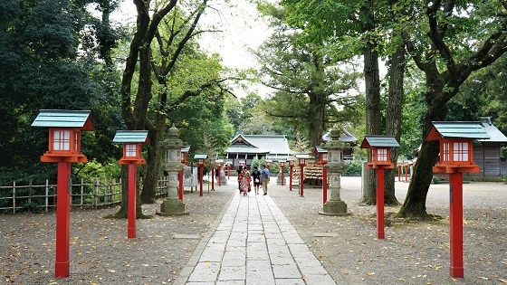 埼玉県久喜市でインプラント治療ができるおすすめ歯医者の画像