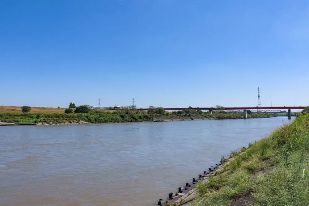 埼玉県志木市でインプラント治療ができるおすすめ歯医者の画像