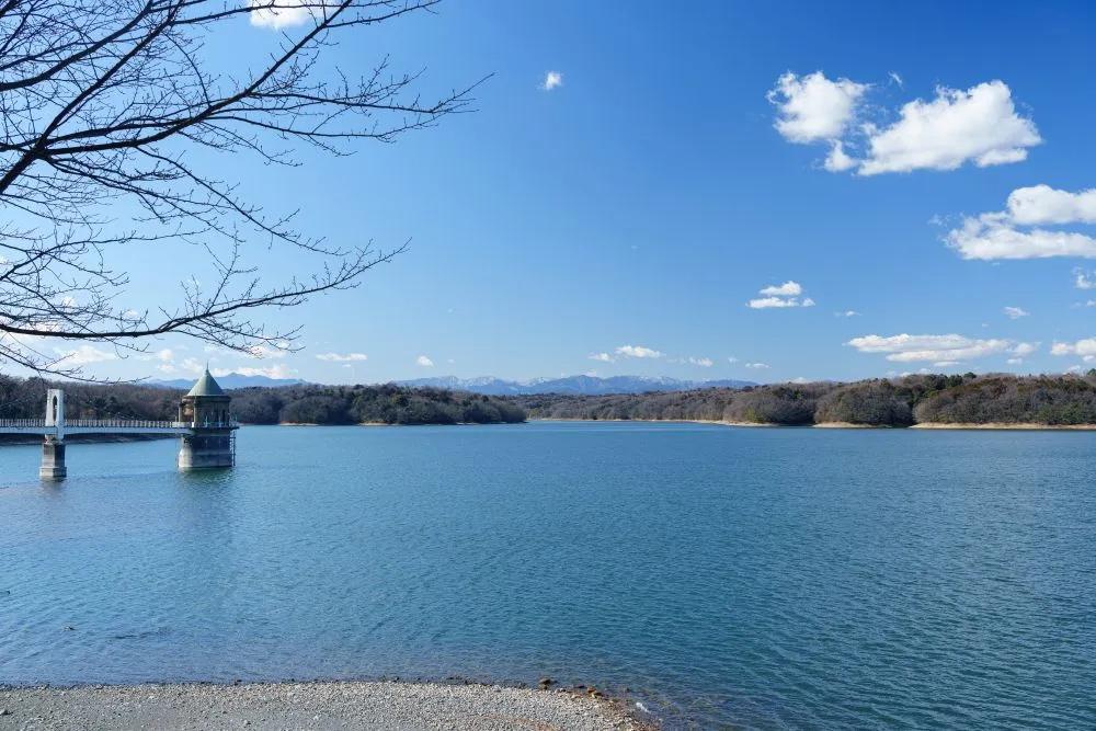 埼玉県所沢市でインプラント治療ができるおすすめ歯医者の画像