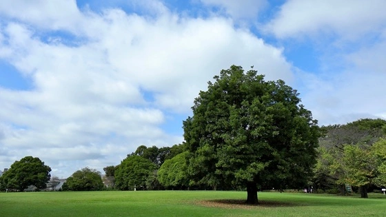土呂駅の記事一覧の画像