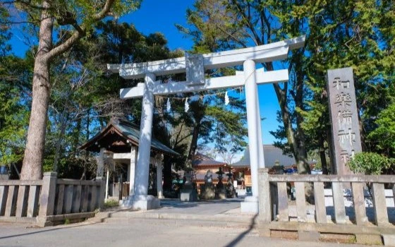 埼玉県蕨市の記事一覧の画像