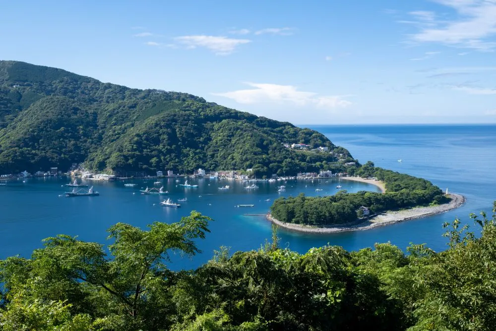 静岡県沼津市でインプラント治療ができるおすすめ歯医者の画像