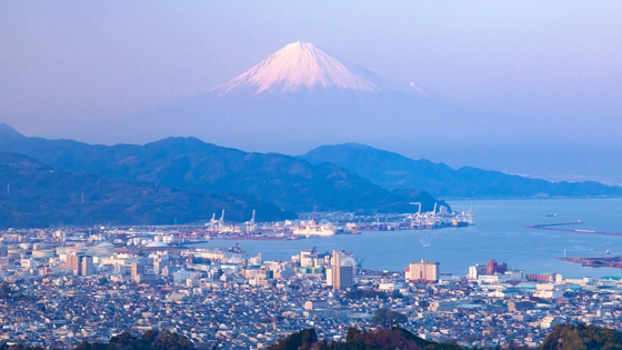 静岡県静岡市でインプラント治療ができるおすすめ歯医者の画像