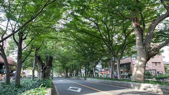 東京都府中市でインプラント治療ができるおすすめ歯医者の画像