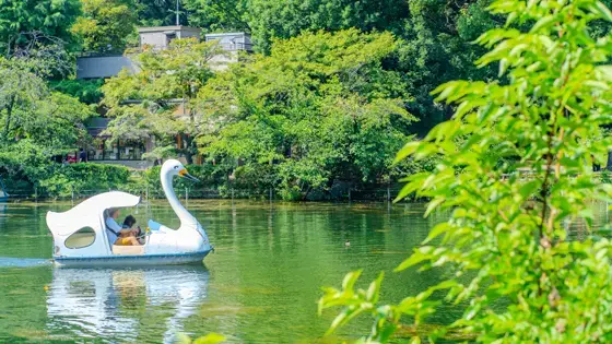 吉祥寺駅でインプラント治療ができるおすすめ歯医者の画像