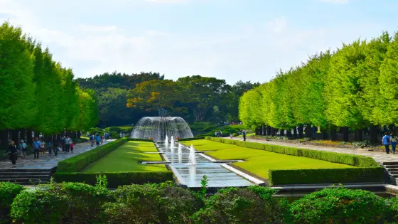 東京都立川市でインプラント治療ができるおすすめ歯医者の画像