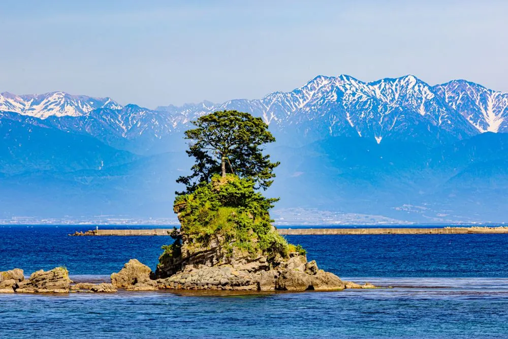 富山県高岡市でインプラント治療ができるおすすめ歯医者の画像