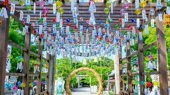 山口県宇部市でインプラント治療ができるおすすめ歯医者の画像